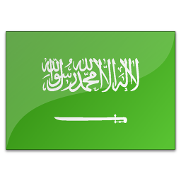 沙特阿拉伯采购商(49007)